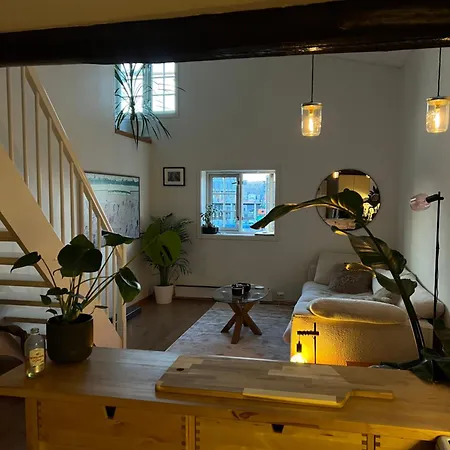 Floor تروندهايم