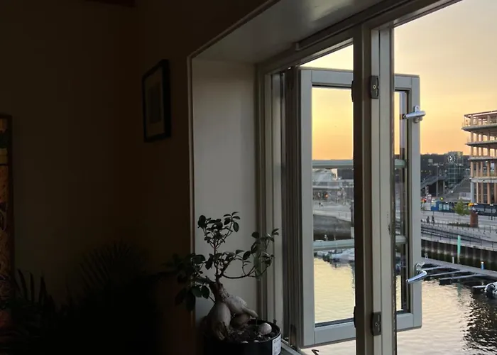 Floor * 特隆赫姆